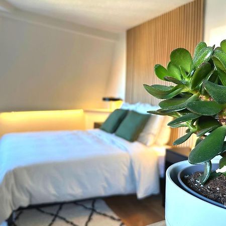 Suite Dernier Etage Saint-Maur La Madeleine  Exteriör bild